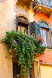 pexels-francesco-altamura-958261-14278852