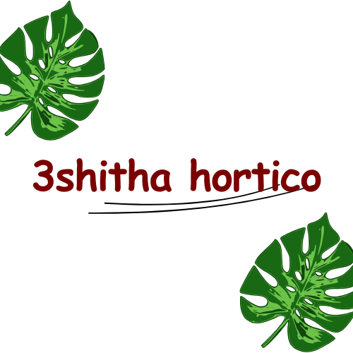 3Shitha Hortico – Landscape & Garden Solutions
