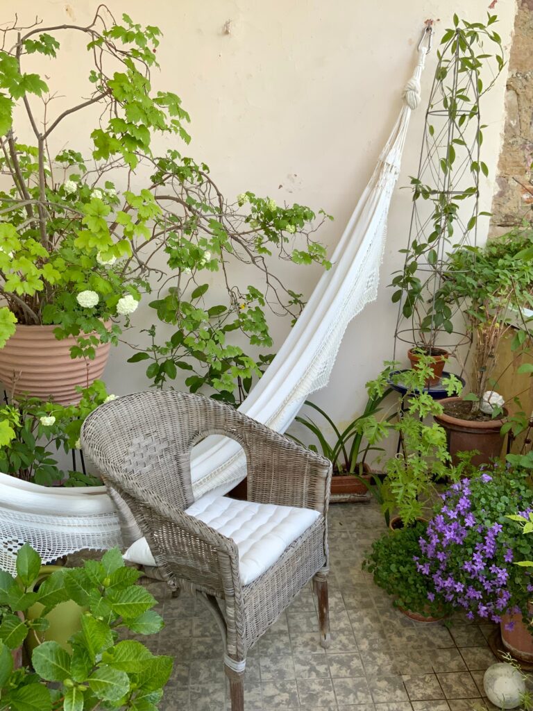 terrace garden tips